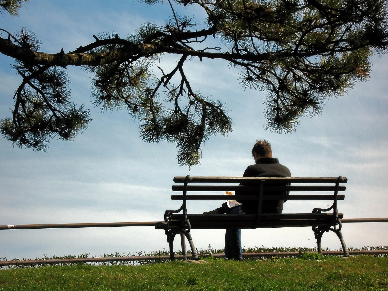 A person sitting on top of a bench under a tree.